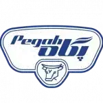Haddad Fillpack customer logo